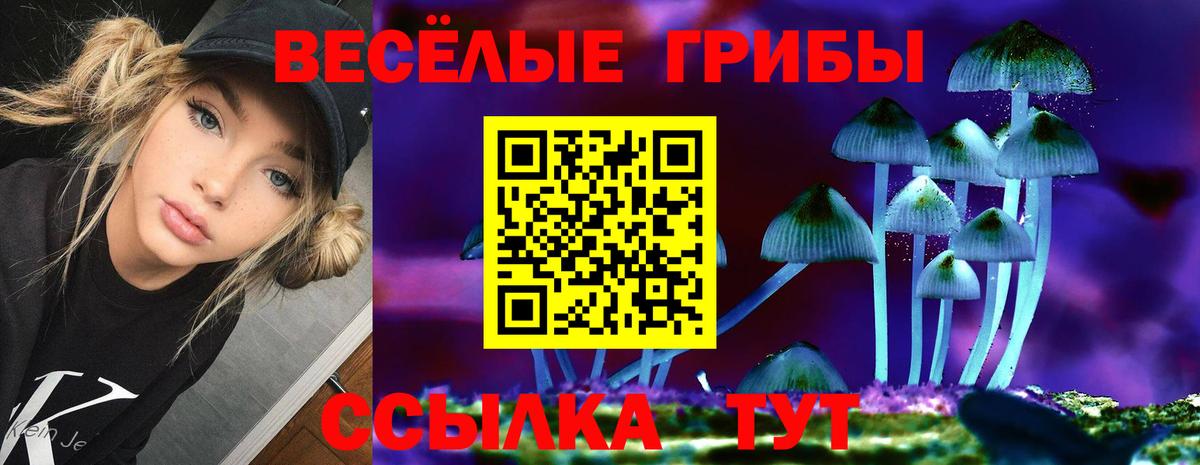 Псилоцибиновые грибы Magic Shrooms  Вход с VPN  где найти наркотики  Коркино 
